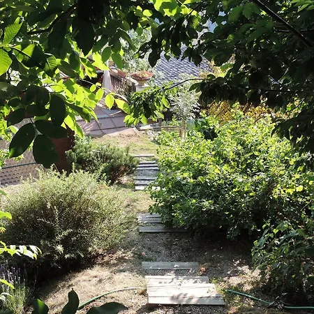 Bed & Breakfast La Demeure Des Elfes Albinen