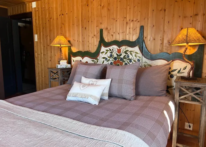 La Demeure Des Elfes 3* Albinen